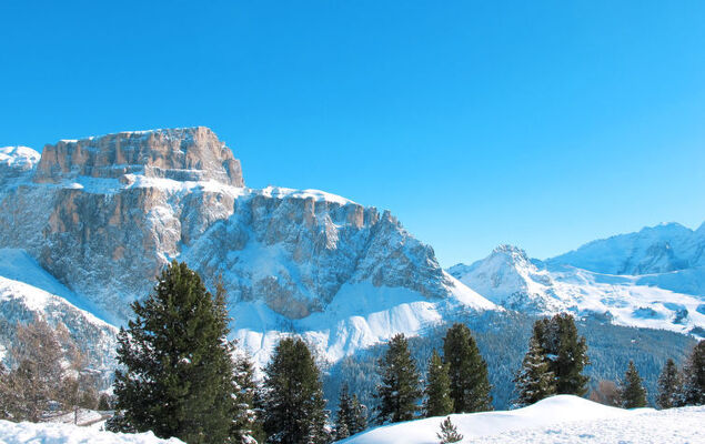 Villa Placidia Apt 34 - Photo 28