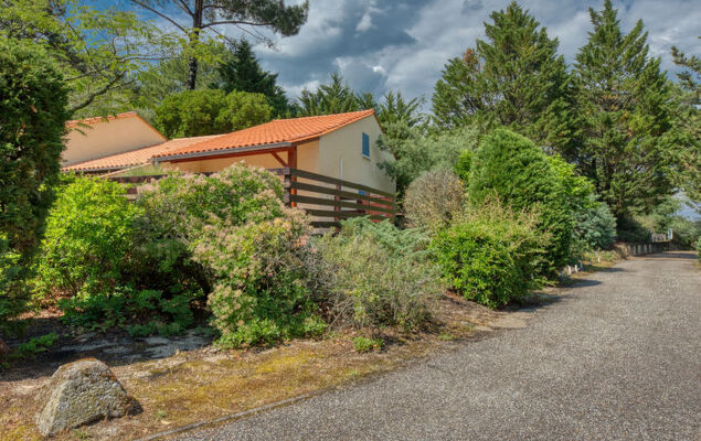 Les Cracks - Les As - Photo 18