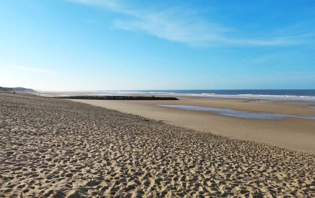 Taste Rebire - Photo 26