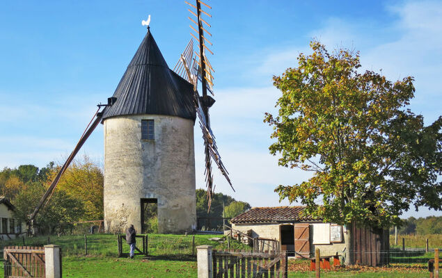 Taste Rebire - Photo 28