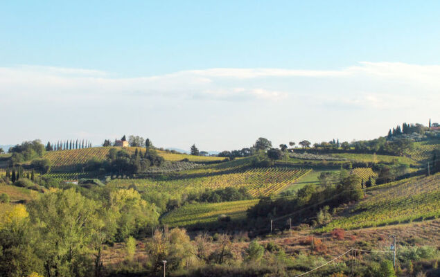 Podere San Giuseppe - Photo 133