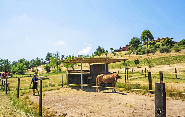 Tipologia Bilocale - Photo 57