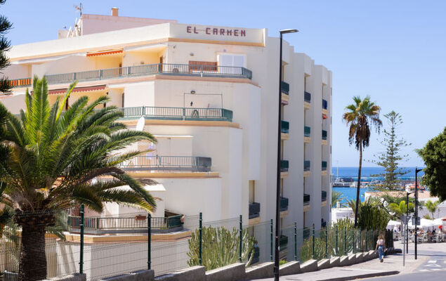 El Carmen - Photo 23