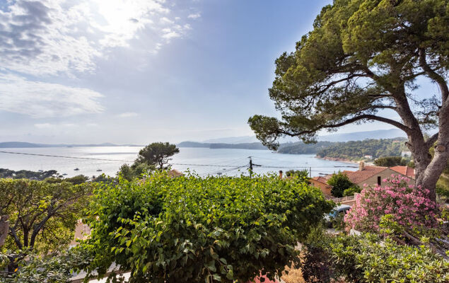 Le Provençal - Photo 34