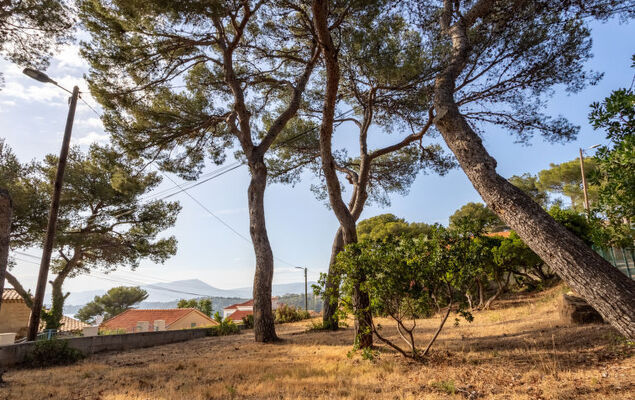 Le Provençal - Photo 41