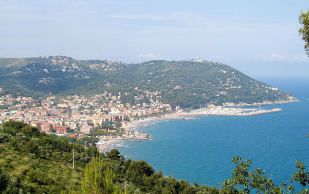 Rosmarino - Photo 35