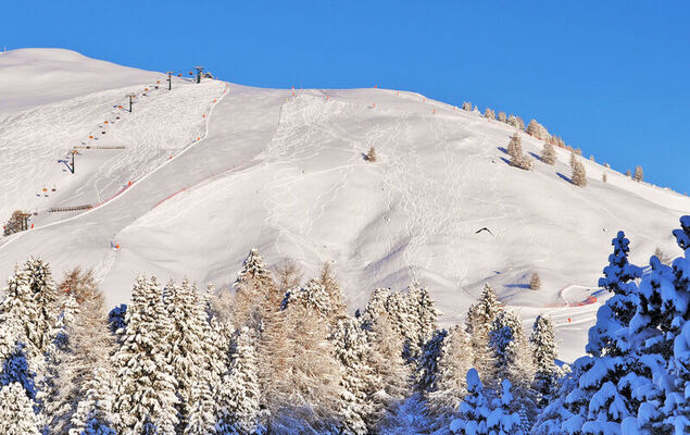 Altavista - Photo 90