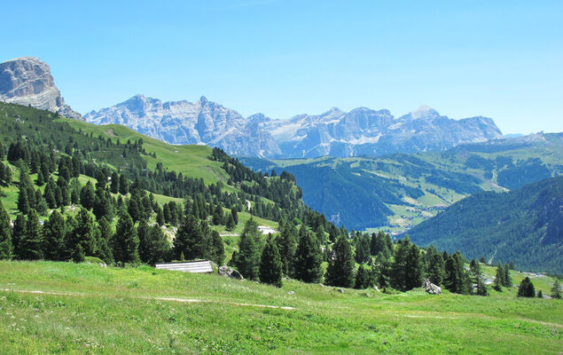 Altavista - Photo 95